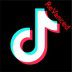 TikTok ReVanced